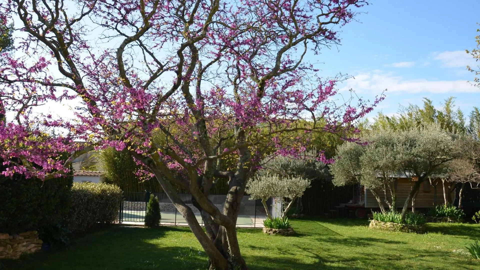 Villeneuve-lès-Avignon Les Treilles De Provence, Gite Le Muscat 0*,  צרפת